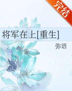 将军在上by弥语txt微盘