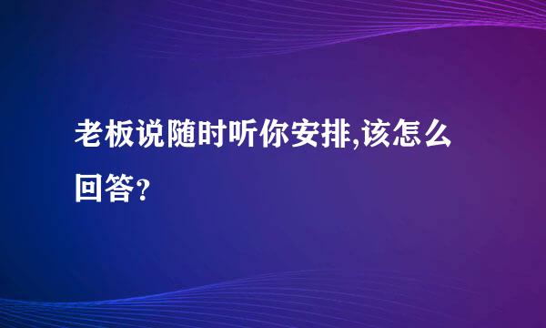 老板说随时听你安排,该怎么回答？