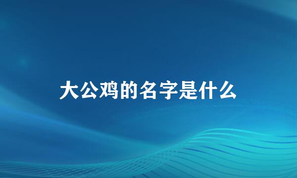 大公鸡的名字是什么