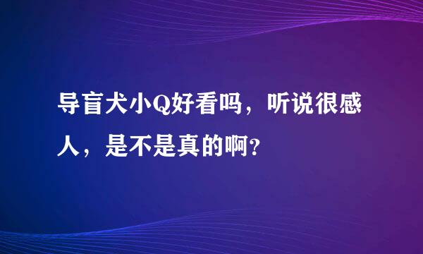 导盲犬小Q好看吗，听说很感人，是不是真的啊？