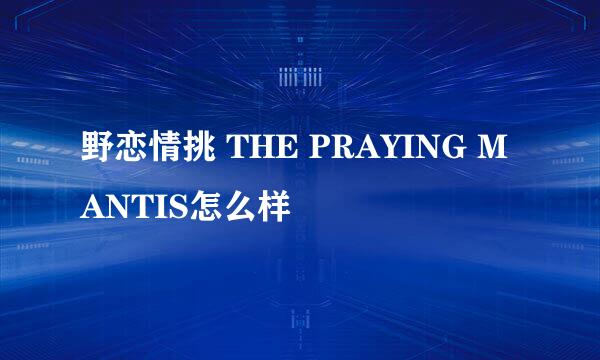 野恋情挑 THE PRAYING MANTIS怎么样