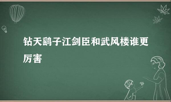 钻天鹞子江剑臣和武风楼谁更厉害