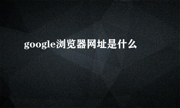 google浏览器网址是什么