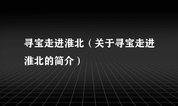 寻宝走进淮北（关于寻宝走进淮北的简介）