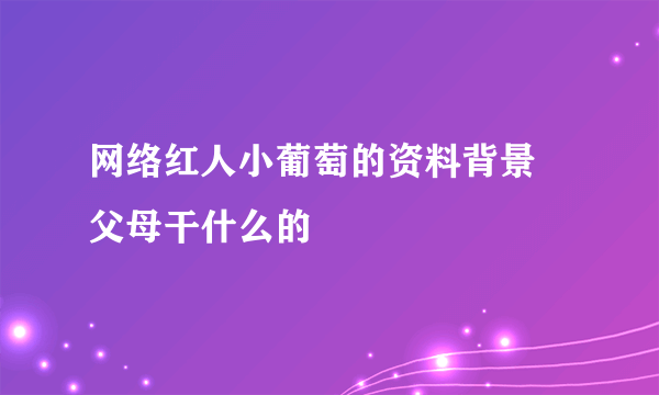 网络红人小葡萄的资料背景 父母干什么的