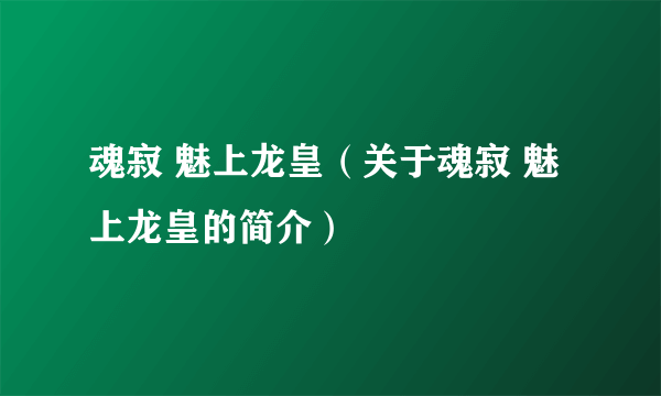 魂寂 魅上龙皇（关于魂寂 魅上龙皇的简介）