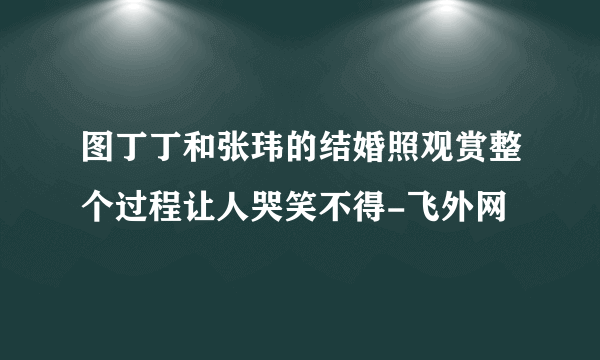 图丁丁和张玮的结婚照观赏整个过程让人哭笑不得-飞外网