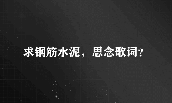 求钢筋水泥，思念歌词？