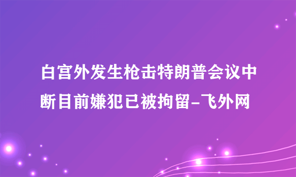 白宫外发生枪击特朗普会议中断目前嫌犯已被拘留-飞外网