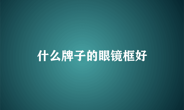 什么牌子的眼镜框好