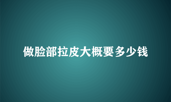 做脸部拉皮大概要多少钱