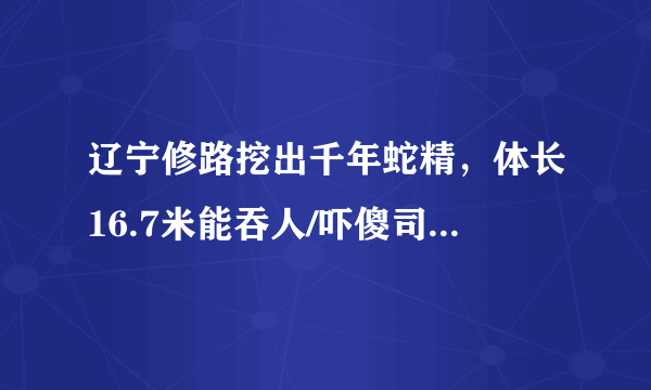 辽宁修路挖出千年蛇精，体长16.7米能吞人/吓傻司机(图片)-飞外网