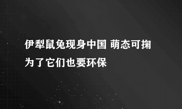 伊犁鼠兔现身中国 萌态可掬为了它们也要环保