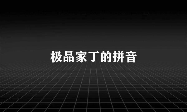 极品家丁的拼音