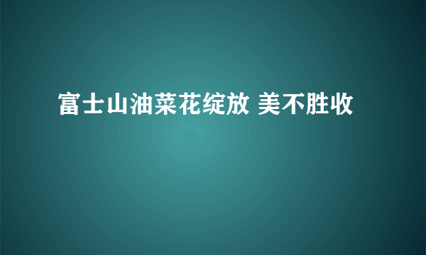 富士山油菜花绽放 美不胜收