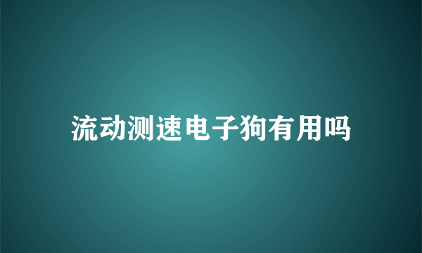 流动测速电子狗有用吗