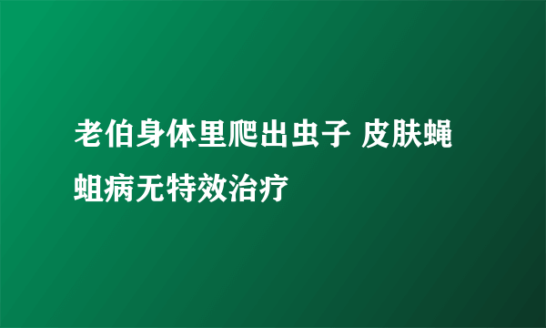 老伯身体里爬出虫子 皮肤蝇蛆病无特效治疗