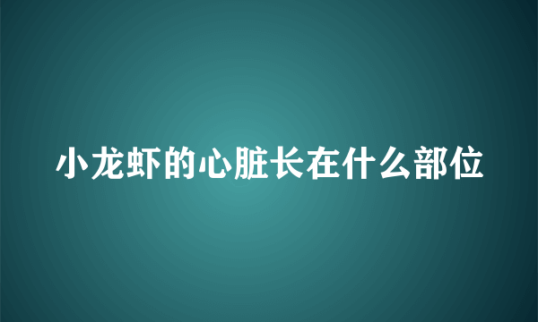 小龙虾的心脏长在什么部位