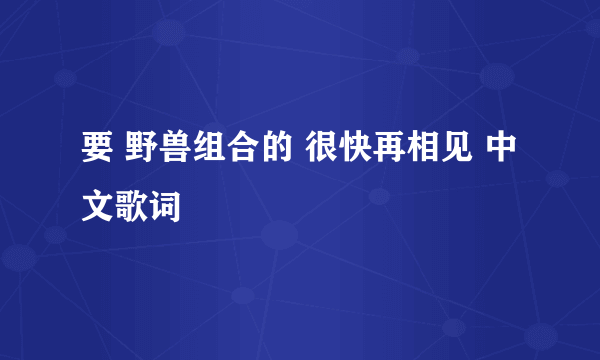 要 野兽组合的 很快再相见 中文歌词