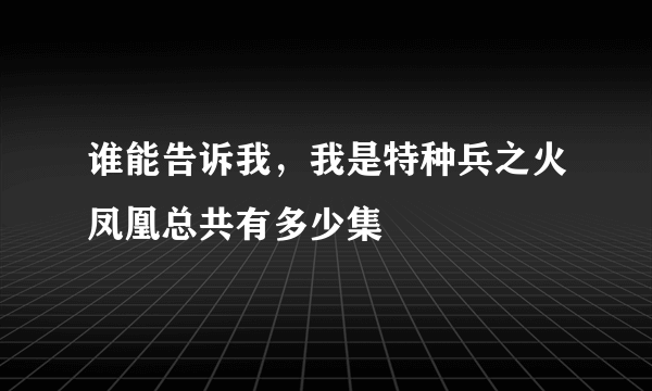 谁能告诉我，我是特种兵之火凤凰总共有多少集