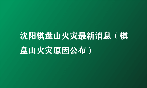 沈阳棋盘山火灾最新消息（棋盘山火灾原因公布）