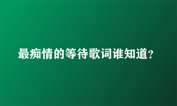 最痴情的等待歌词谁知道？