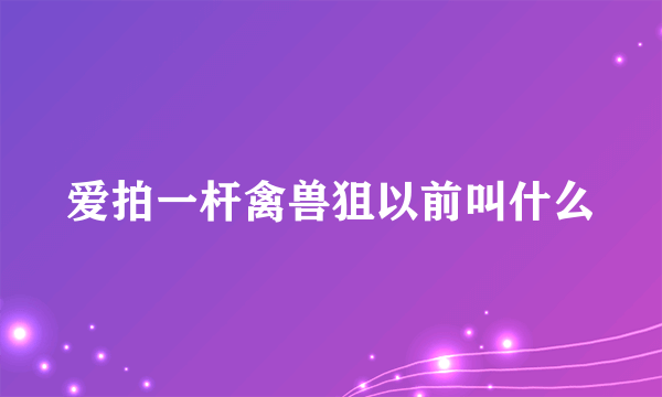 爱拍一杆禽兽狙以前叫什么