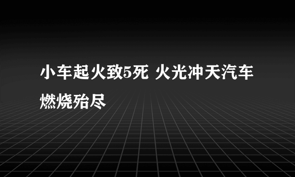 小车起火致5死 火光冲天汽车燃烧殆尽