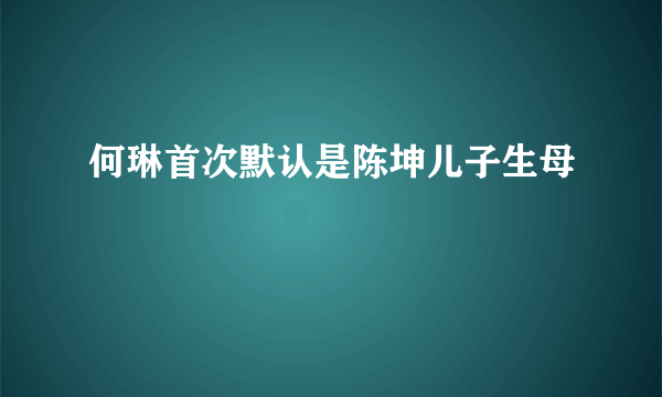 何琳首次默认是陈坤儿子生母