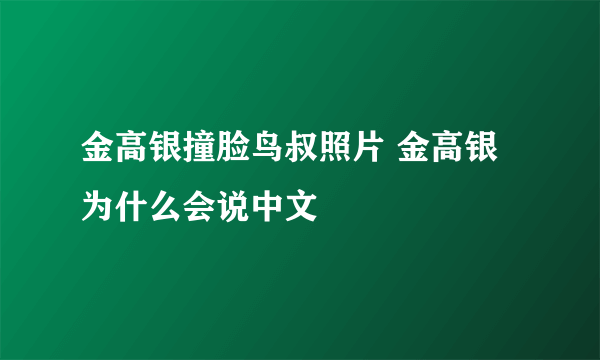 金高银撞脸鸟叔照片 金高银为什么会说中文