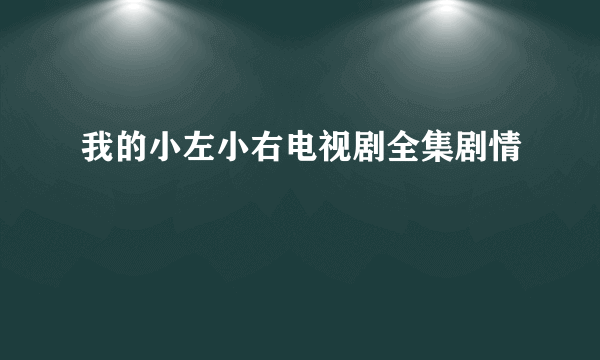 我的小左小右电视剧全集剧情