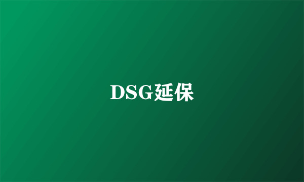 DSG延保