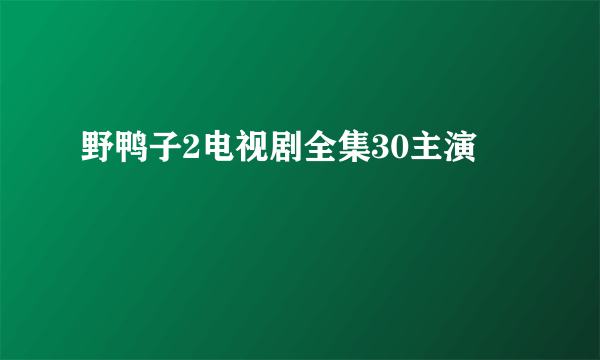 野鸭子2电视剧全集30主演