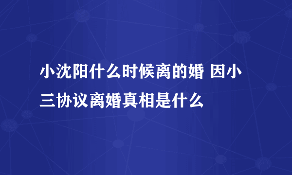 小沈阳什么时候离的婚 因小三协议离婚真相是什么