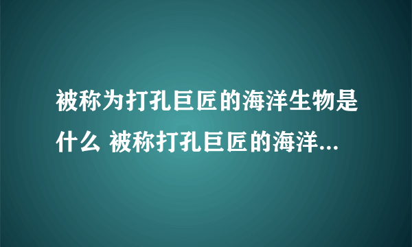 被称为打孔巨匠的海洋生物是什么 被称打孔巨匠的海洋生物是啥-飞外网