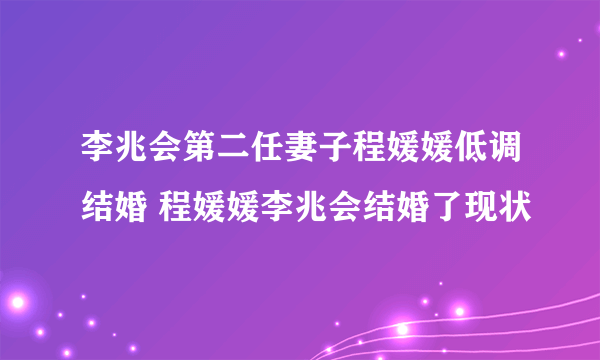 李兆会第二任妻子程媛媛低调结婚 程媛媛李兆会结婚了现状