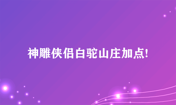 神雕侠侣白驼山庄加点!