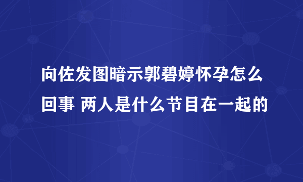 向佐发图暗示郭碧婷怀孕怎么回事 两人是什么节目在一起的