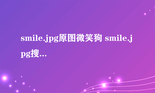 smile.jpg原图微笑狗 smile.jpg搜smile dog五秒动态图