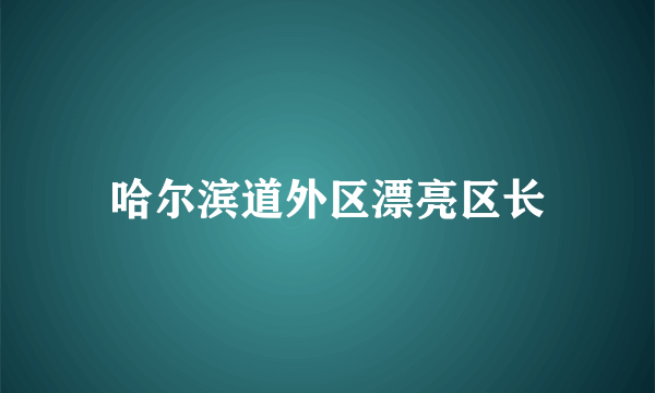 哈尔滨道外区漂亮区长