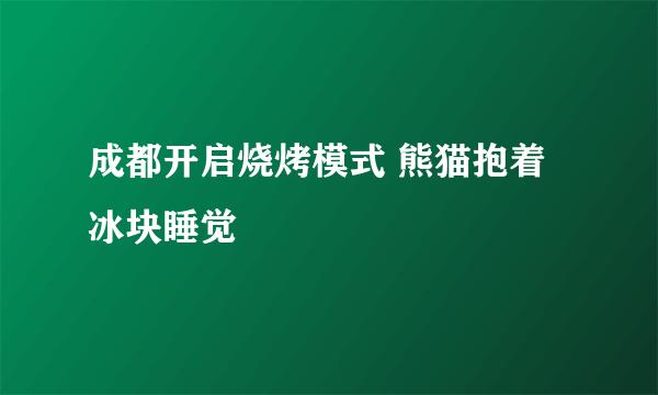 成都开启烧烤模式 熊猫抱着冰块睡觉