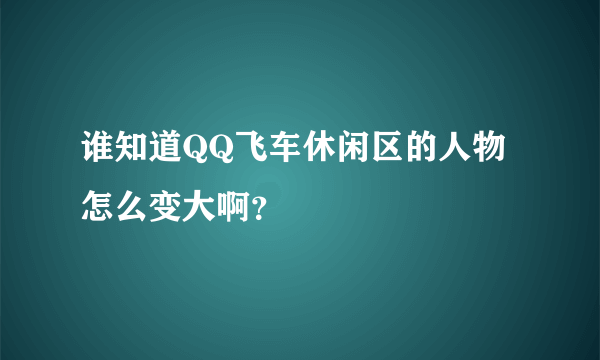 谁知道QQ飞车休闲区的人物怎么变大啊？