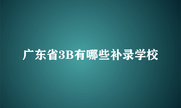 广东省3B有哪些补录学校