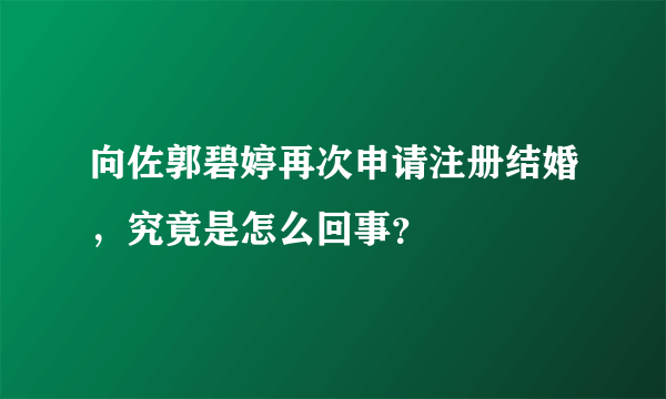 向佐郭碧婷再次申请注册结婚，究竟是怎么回事？