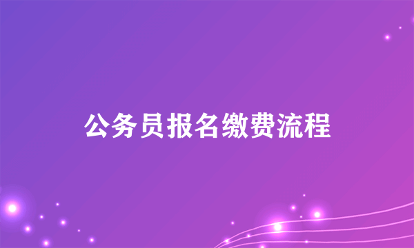 公务员报名缴费流程