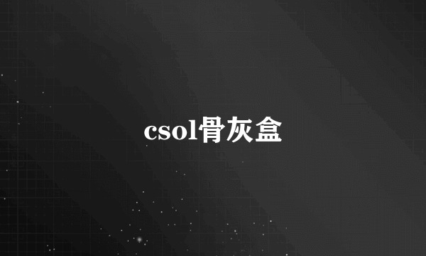 csol骨灰盒