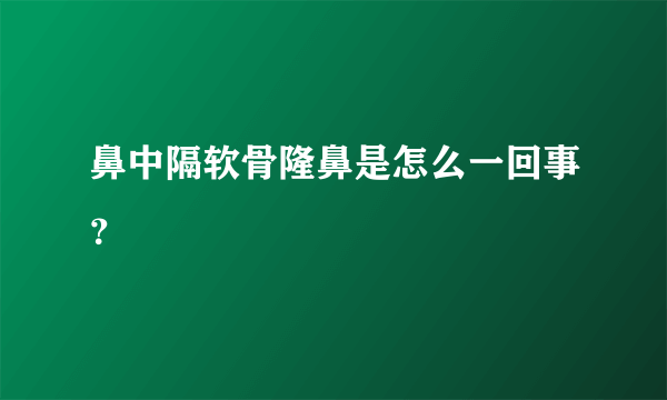 鼻中隔软骨隆鼻是怎么一回事？