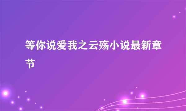 等你说爱我之云殇小说最新章节