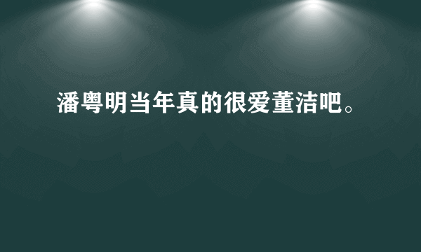 潘粤明当年真的很爱董洁吧。