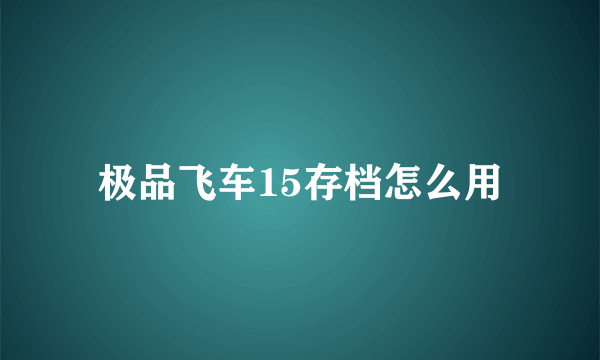 极品飞车15存档怎么用